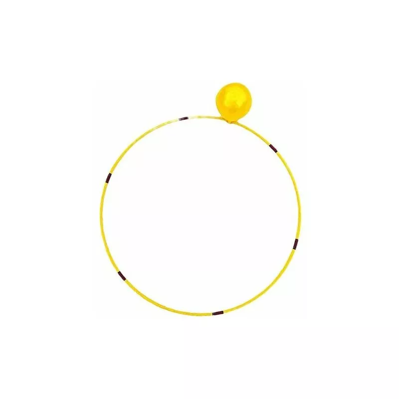 Aro de buceo de juguete para piscina para niños - Accesorios para deportes subacuáticos Aro de buceo de juguete para piscina para actividades al aire barato