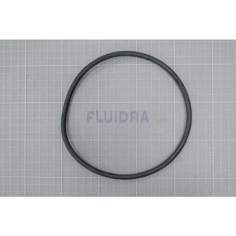 Astralpool - Junta torica de la tapa para filtro de barato