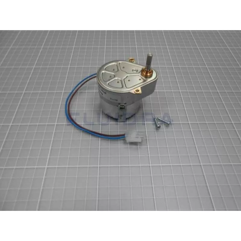 Astralpool - Repuesto motor de la bomba peristáltica 1