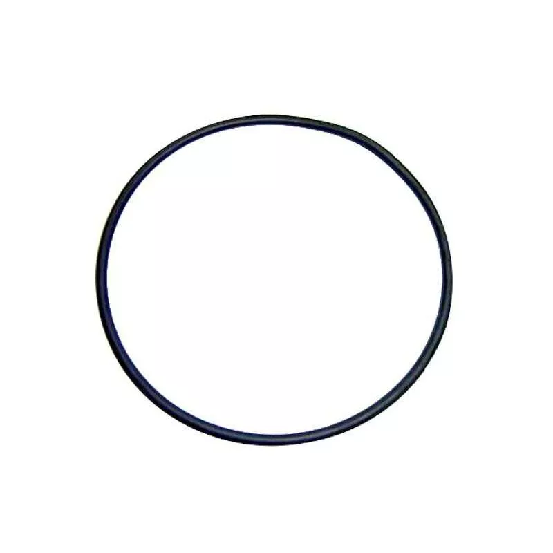 Astralpool - junta torica bomba sena 4405010437 astral barato