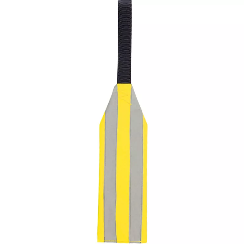 Bandera de seguridad para viajes