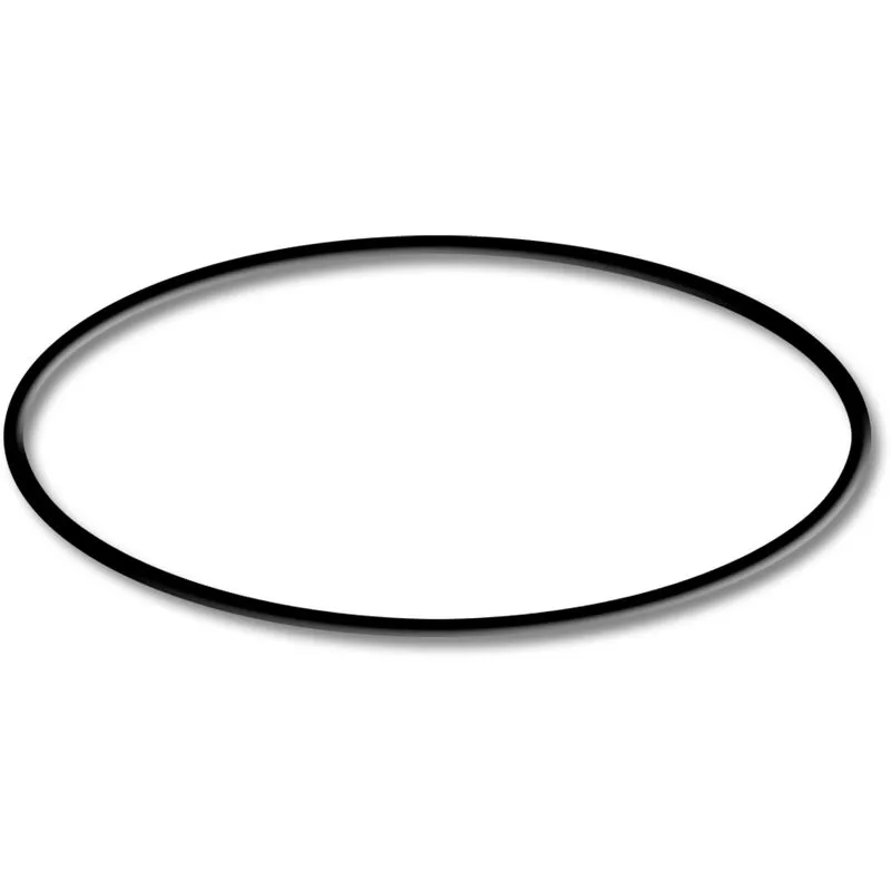 Bomba para piscina de recambio Sunsun HZS-200/300 Junta tórica 2 barato