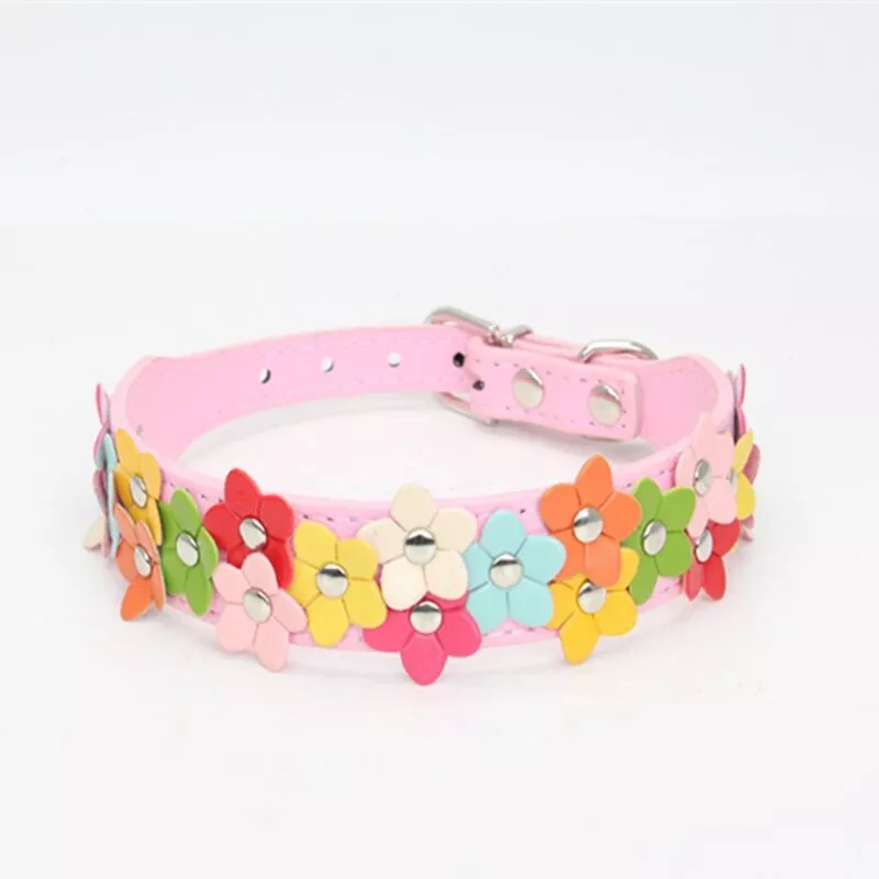 Collar de cuero para perro