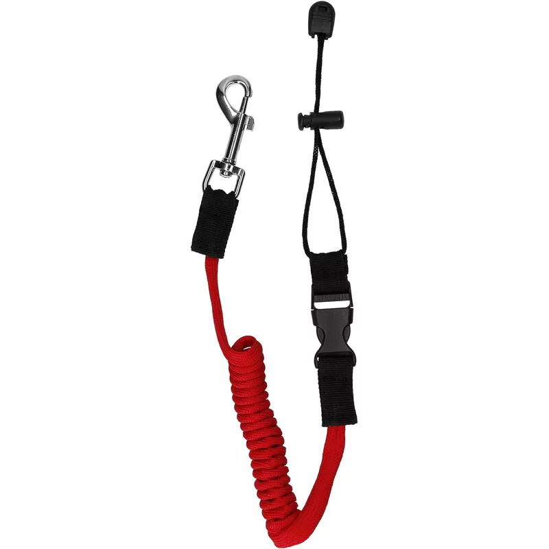 Correa de paleta estirable