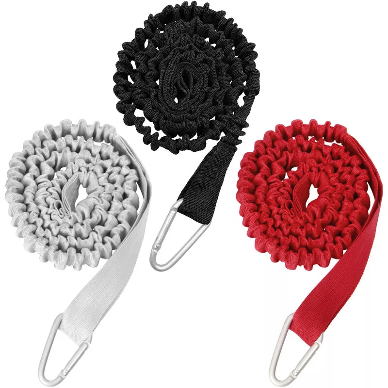 Correa de paleta estirable