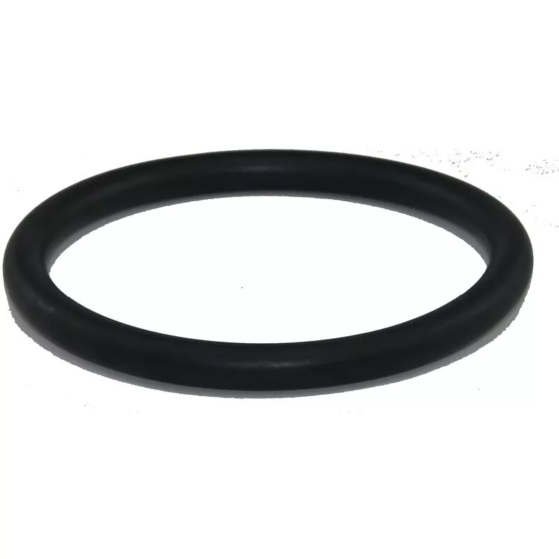 Junta para lámpara proyectora de piscina - CORAL barato