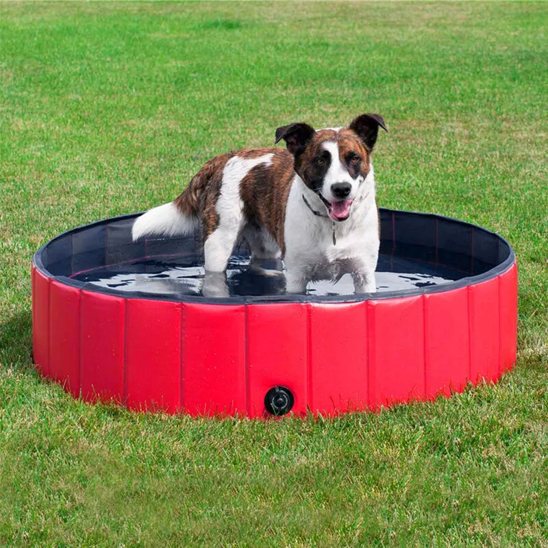 Oobest - bañera para perros