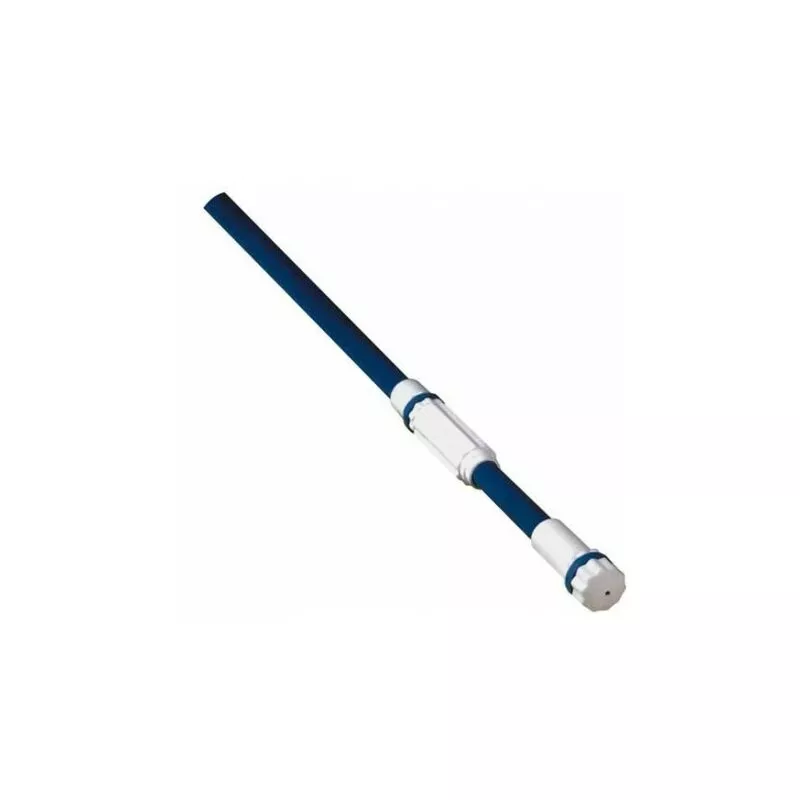 Pértiga extensible 1