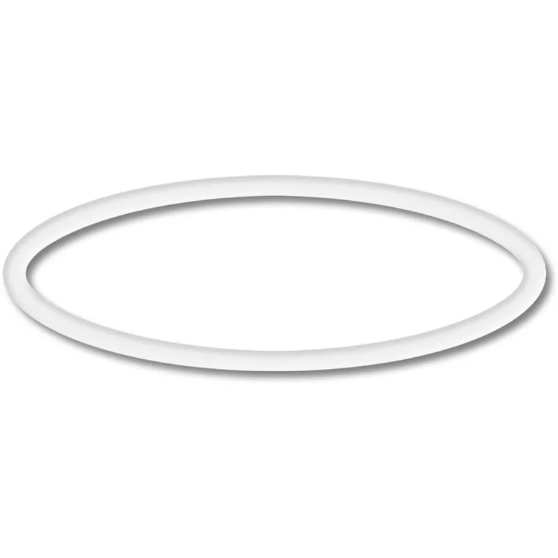 Pieza de repuesto: Sunsun CPP-10000F Bomba de piscina O-Ring 2 barato