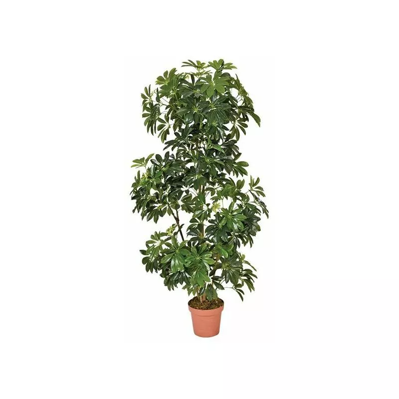 Planta Artificial Cheflera Alta 145 Cm Plantas Artificiales Con Maceta Para Casa Decoración Para Interior Y Exterior - Plantawa En Oferta Planta Artificial Cheflera Alta 145 Cm Plantas Artificiales Con Maceta Para Casa Decoración Para Interior Y Exterior - Plantawa Barato