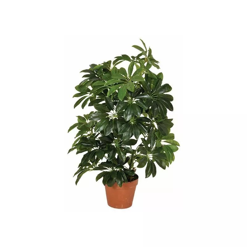 Planta Artificial Cheflera Baja 65 Cm Plantas Artificiales Con Maceta Para Casa Decoración Para Interior Y Exterior - Plantawa En Oferta Planta Artificial Cheflera Baja 65 Cm Plantas Artificiales Con Maceta Para Casa Decoración Para Interior Y Exterior - Plantawa Barato