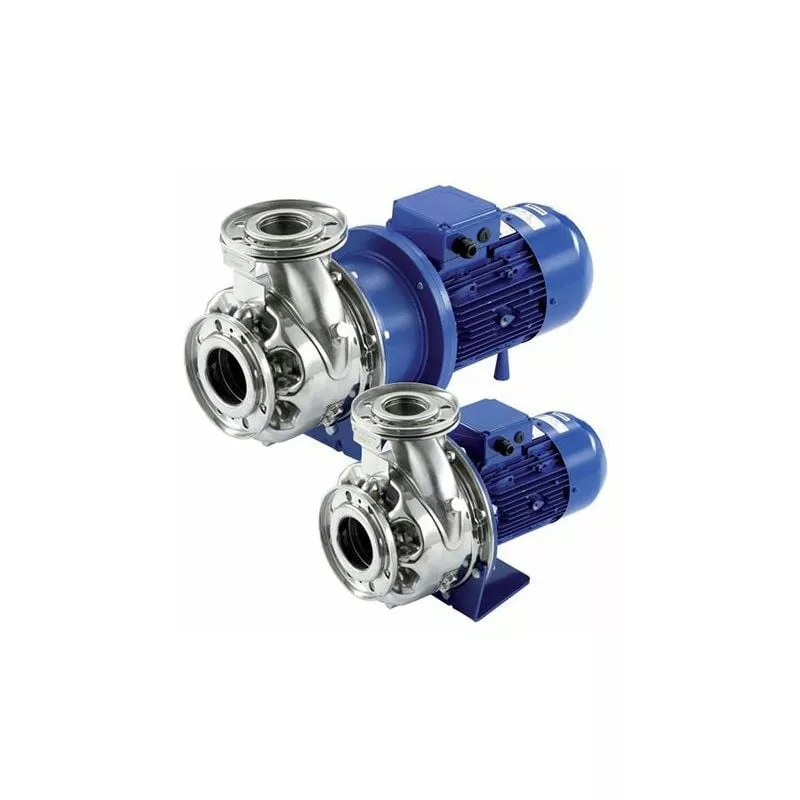 Plantawa - Bomba Centrífuga E-She 50-160/75 10Cv 400-692V Bombas para piscinas barato