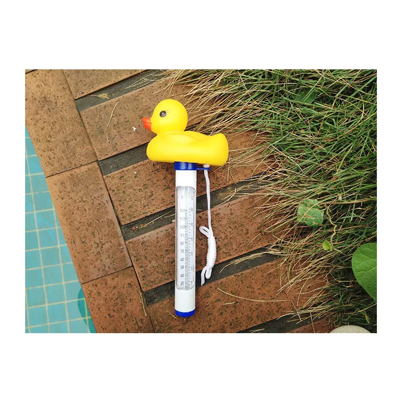 Termómetro flotante para piscina